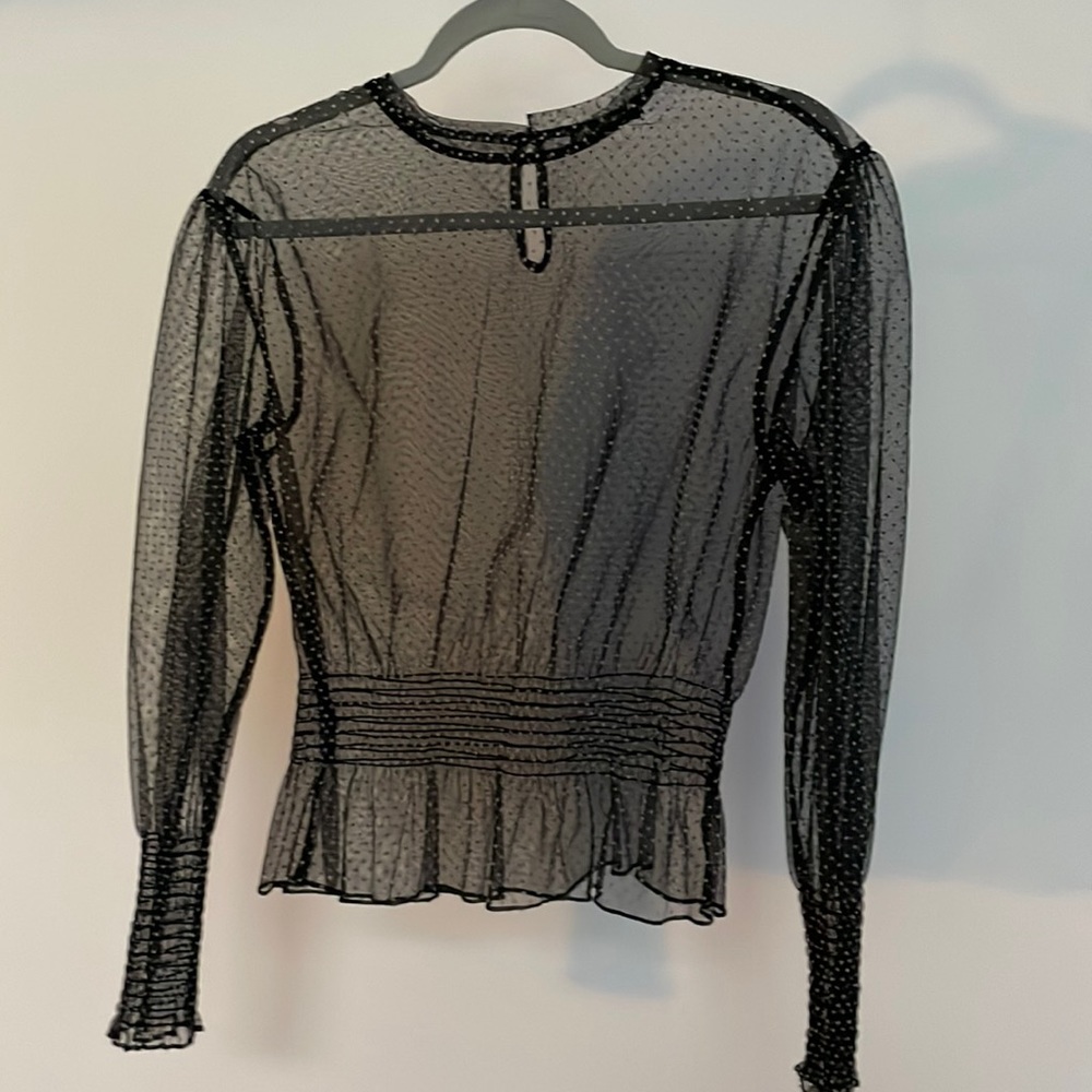 Zara Sheer Blouse